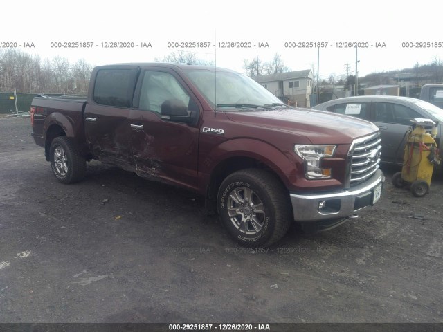 FORD F-150 2015 1ftew1ef4ffc18438