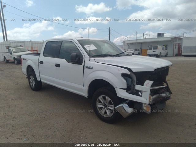 FORD F-150 2015 1ftew1ef4fkd05540