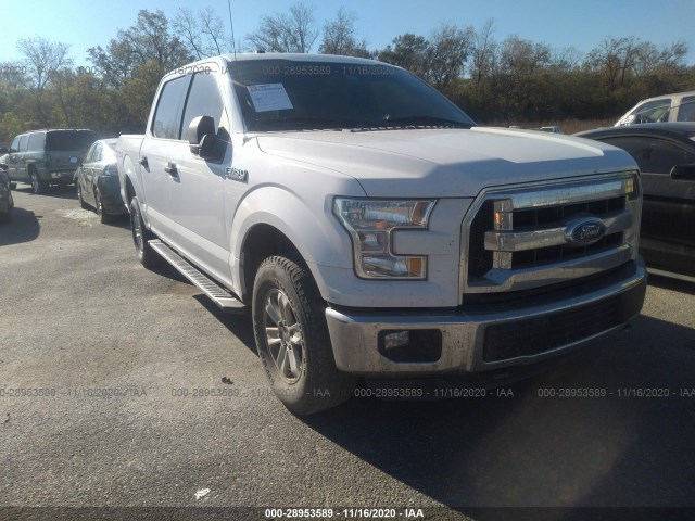 FORD F-150 2015 1ftew1ef4fke34166