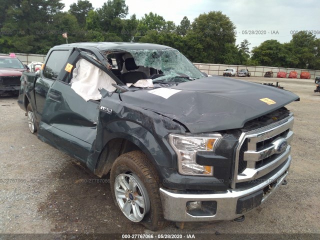 FORD F-150 2015 1ftew1ef5ffa25599