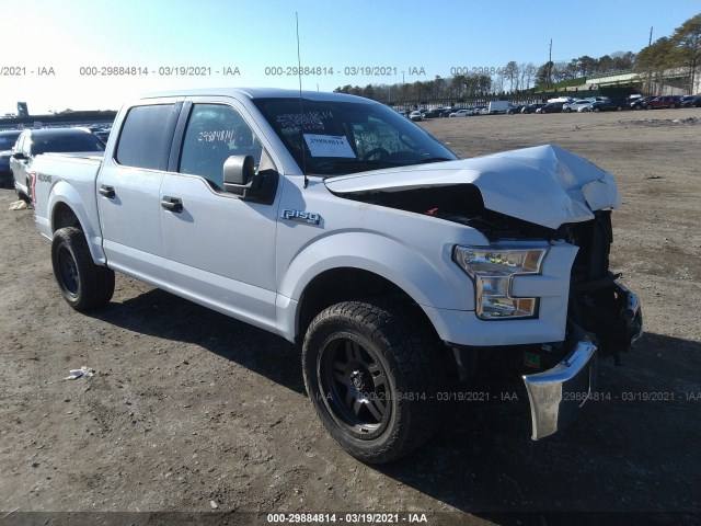 FORD F-150 2015 1ftew1ef5ffb98507