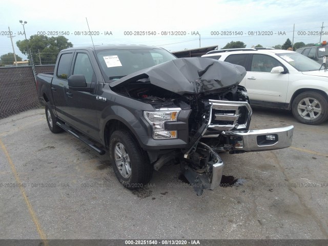 FORD F-150 2015 1ftew1ef5fkd83356