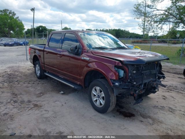 FORD F-150 2015 1ftew1ef6ffa10173