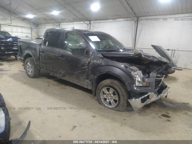 FORD F-150 2015 1ftew1ef6ffa76173