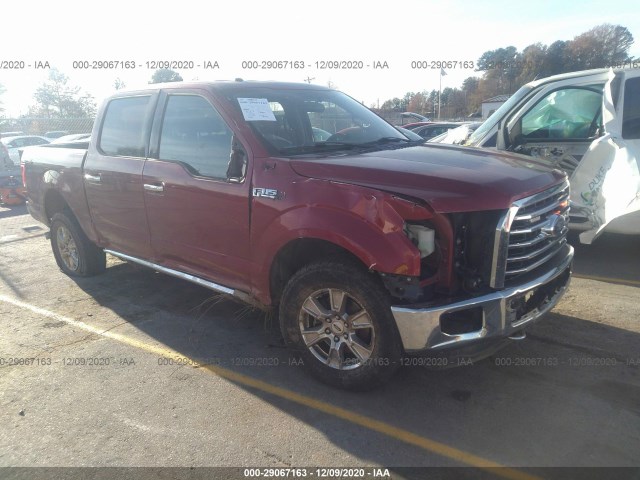 FORD F-150 2015 1ftew1ef6ffb08698