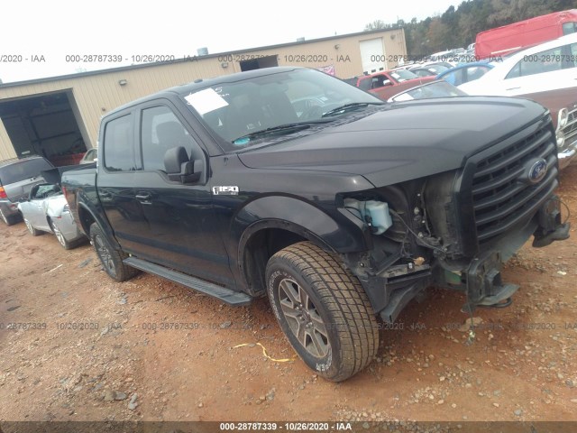 FORD F-150 2015 1ftew1ef6ffb86835