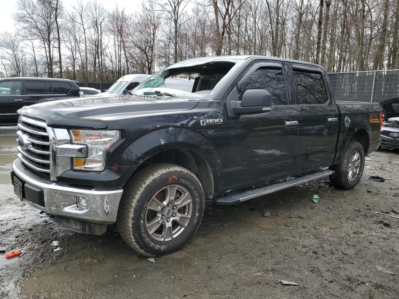 FORD F-150 2016 1ftew1ef6gfa32434