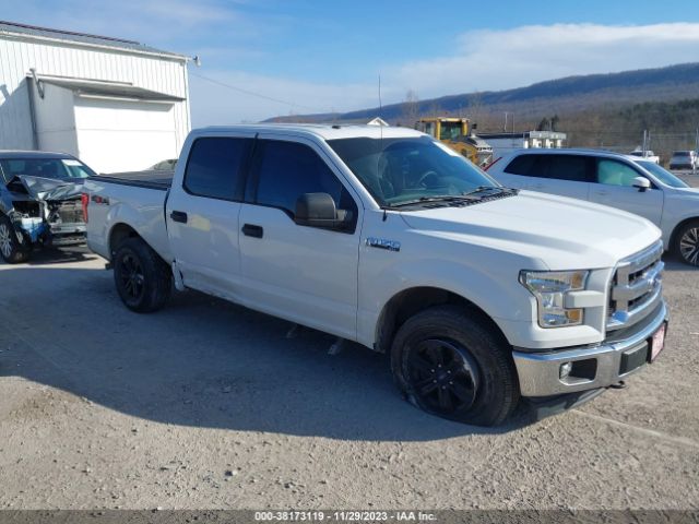 FORD F-150 2017 1ftew1ef6hfc36068