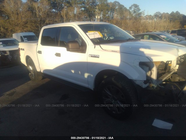 FORD F-150 2015 1ftew1ef7ffb46151