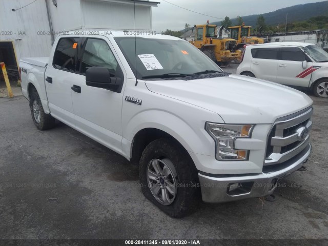 FORD F-150 2015 1ftew1ef7ffc23598