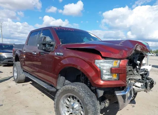 FORD F150 2015 1ftew1ef7fke84446