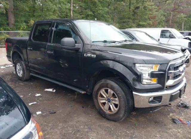 FORD F-150 2015 1ftew1ef8ffb00649