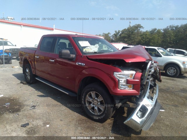 FORD F-150 2015 1ftew1ef8fke90207