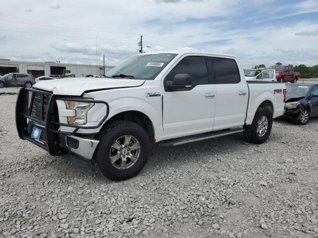 FORD F-150 2016 1ftew1ef8gfa07826