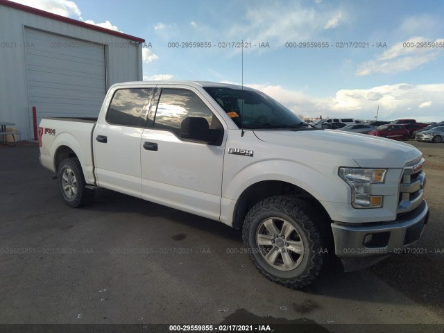 FORD F-150 2017 1ftew1ef8hkc48715