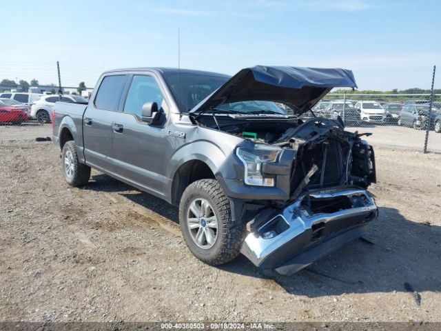 FORD F-150 2015 1ftew1ef9ffb13779