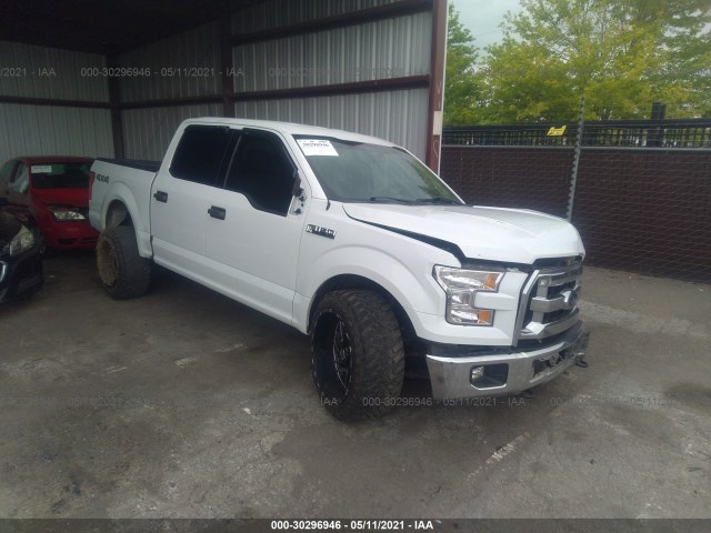 FORD F-150 2015 1ftew1efxfkd05655