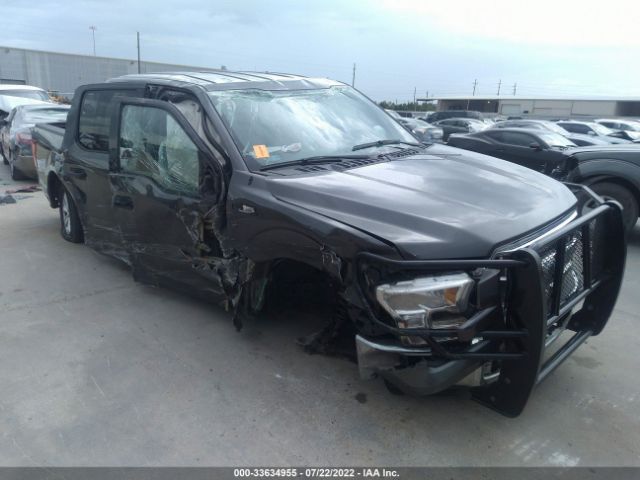 FORD F-150 2015 1ftew1efxfkd83241