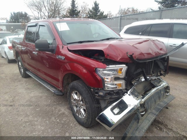 FORD F-150 2015 1ftew1efxfke87194