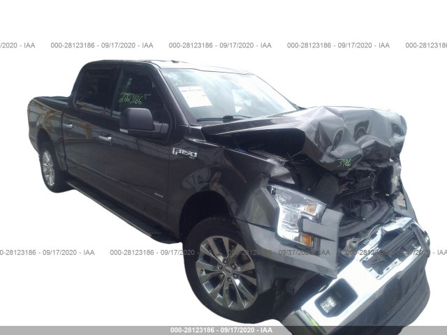 FORD F-150 2015 1ftew1eg1ffb39317