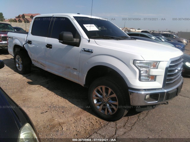 FORD F-150 2015 1ftew1eg1fkd97831