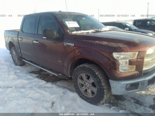 FORD F-150 2015 1ftew1eg1fkf03842