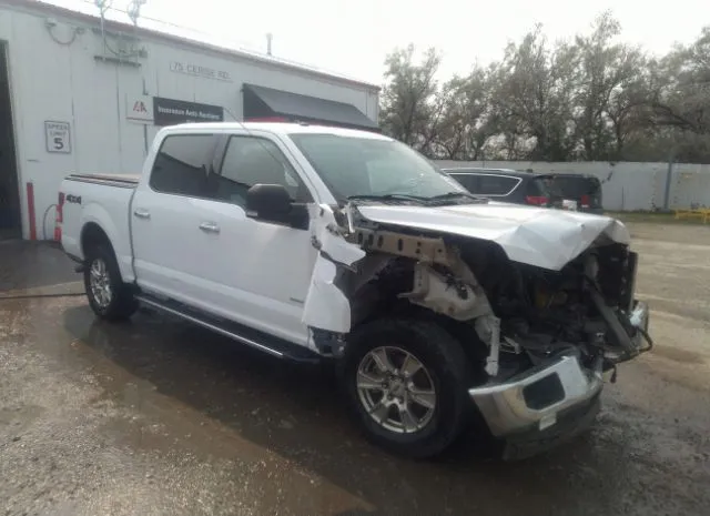 FORD F-150 2016 1ftew1eg1gke97042