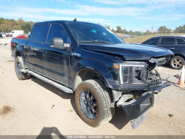 FORD F-150 2018 1ftew1eg1jfa55751