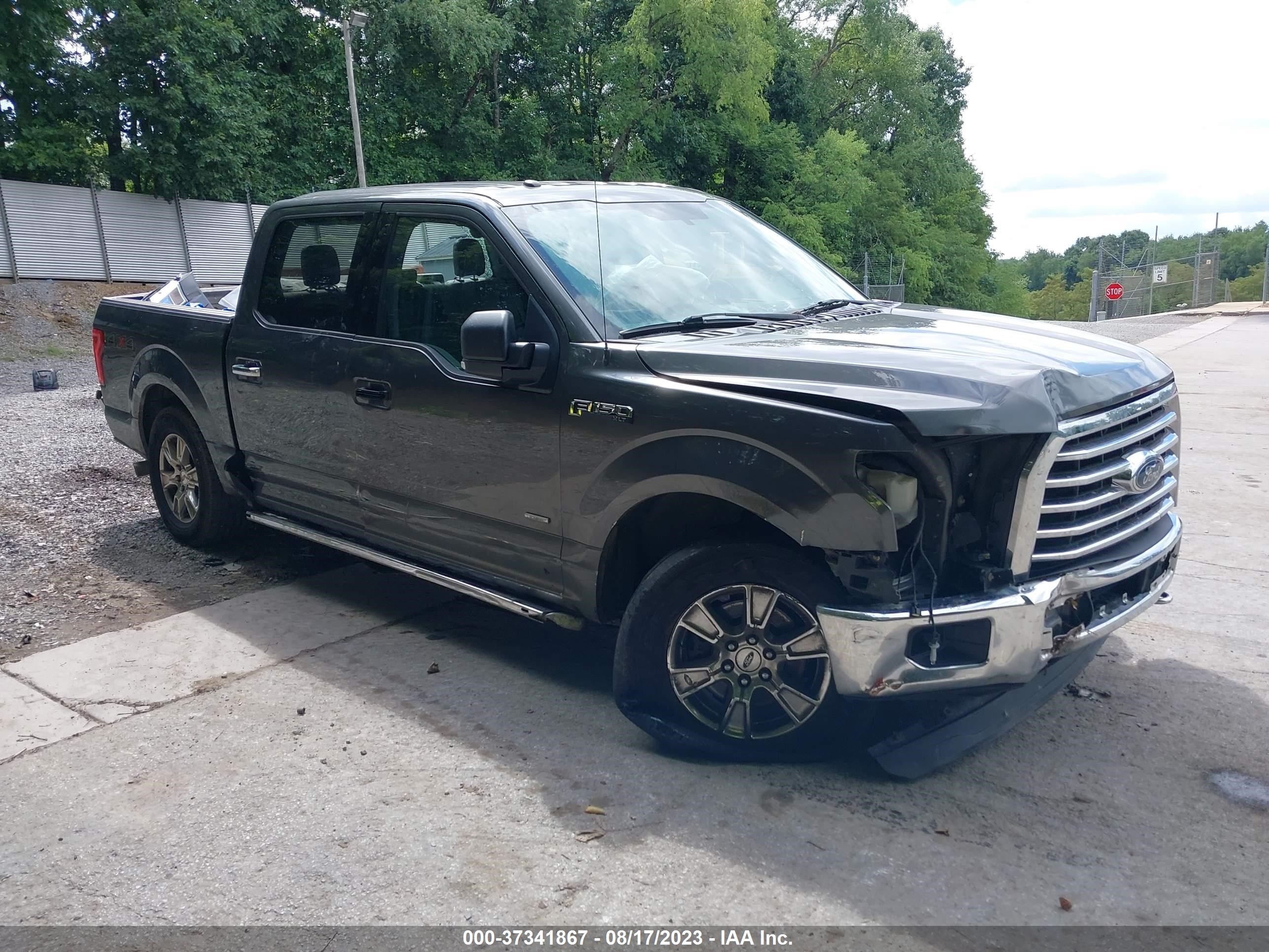 FORD F-150 2015 1ftew1eg2ffb31520