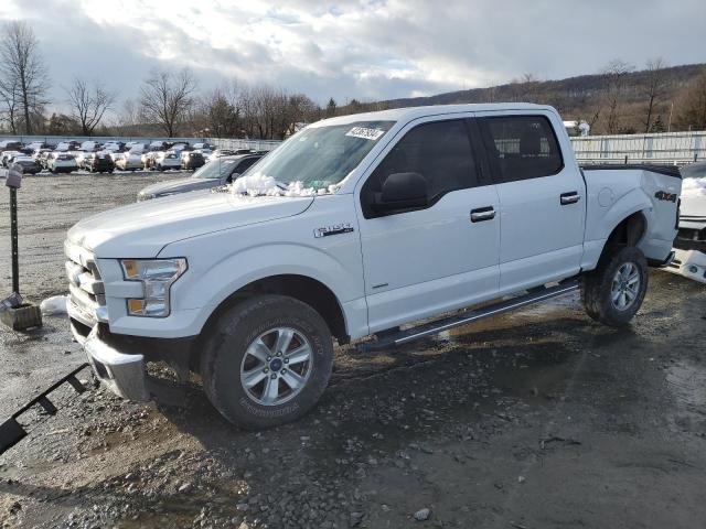 FORD F-150 2015 1ftew1eg2ffc63595