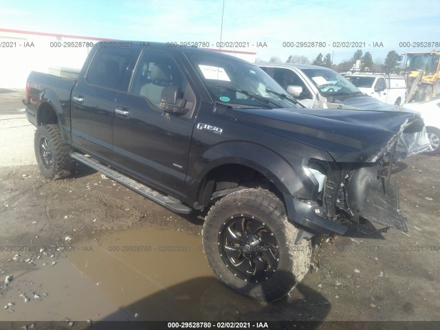 FORD F-150 2015 1ftew1eg3ffc12543