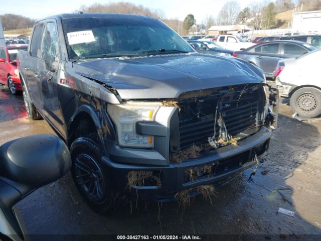 FORD F-150 2015 1ftew1eg4ffb09647