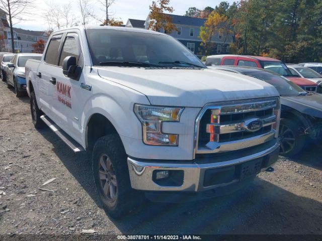 FORD F150 2015 1ftew1eg4ffb46360