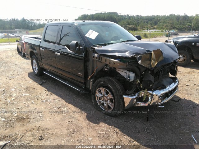 FORD F-150 2015 1ftew1eg4ffc75229