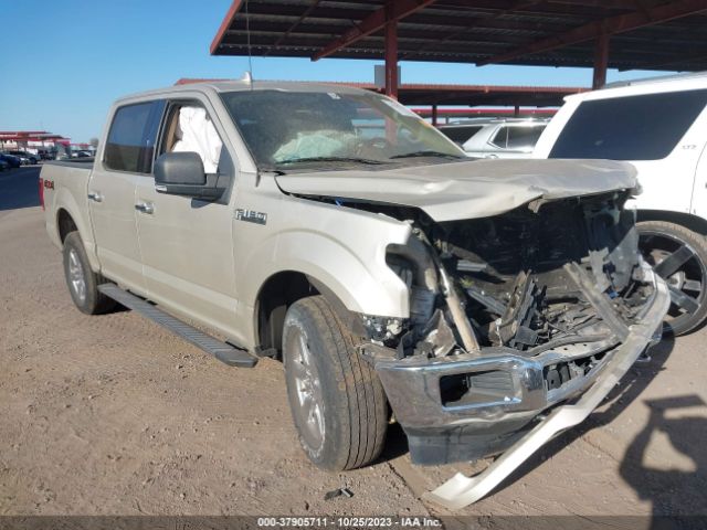 FORD F-150 2018 1ftew1eg4jkd57610