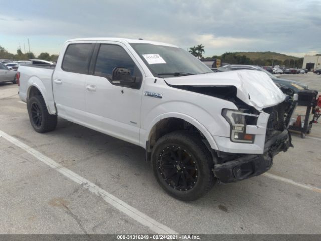 FORD F-150 2015 1ftew1eg5ffb20561