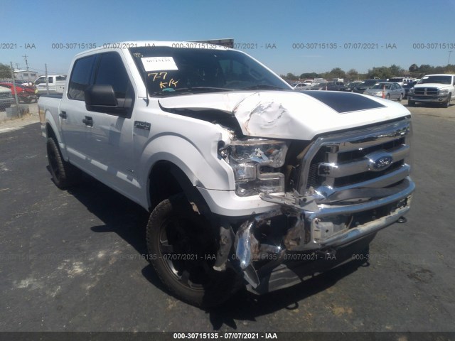 FORD F-150 2015 1ftew1eg6ffa89952