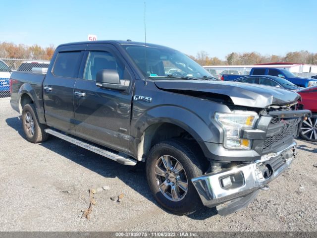 FORD F-150 2015 1ftew1eg6ffb11285