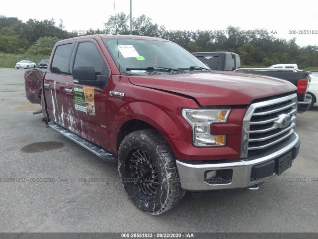 FORD F-150 2015 1ftew1eg6fke08967