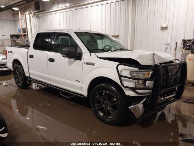 FORD F-150 2015 1ftew1eg6fkf17185