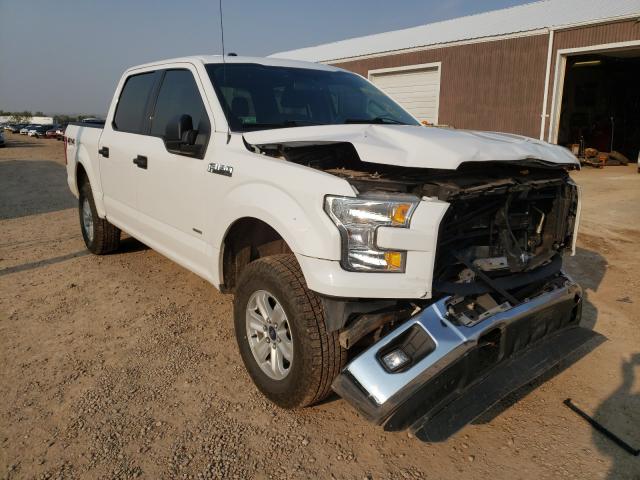 FORD F150 SUPER 2015 1ftew1eg7ffa90687