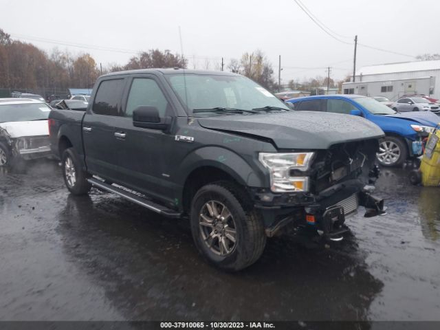 FORD F-150 2015 1ftew1eg7ffb72791