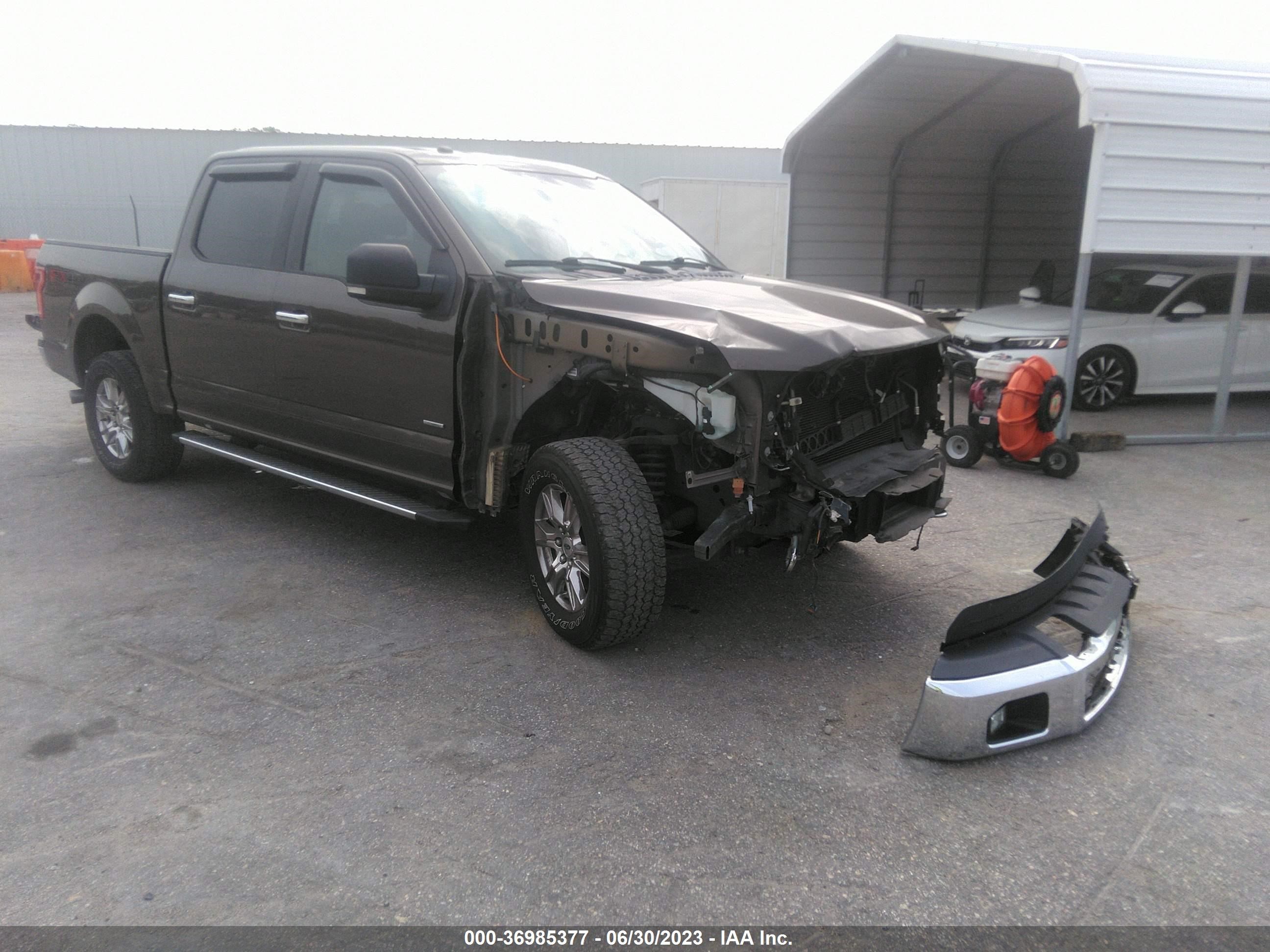 FORD F-150 2016 1ftew1eg7gfb22586