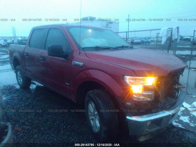 FORD F-150 2016 1ftew1eg7gkf53081