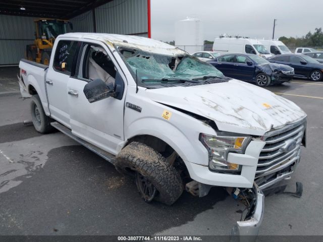 FORD F-150 2016 1ftew1eg7gkf80037