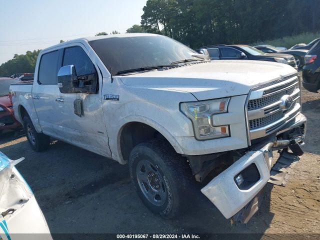 FORD F-150 2015 1ftew1eg8ffa19224