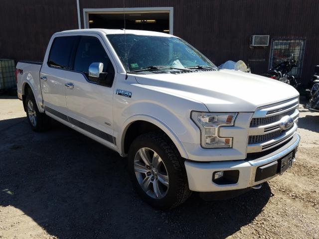 FORD F150 SUPER 2015 1ftew1eg8ffa24830