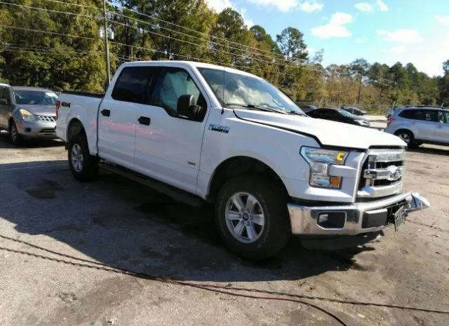 FORD F-150 2015 1ftew1eg8ffa73493