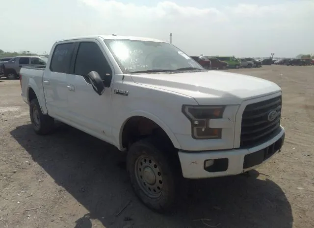 FORD F-150 2015 1ftew1eg8ffb20165