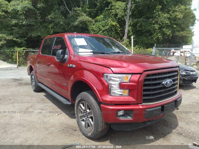 FORD F-150 2015 1ftew1eg8fkf19391